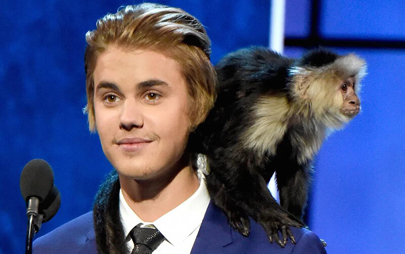 Justin Bieber and his Capuchin Monkey