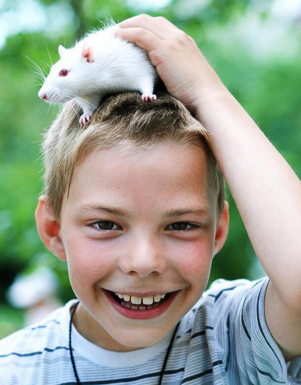 boy with Albino Rat on his head