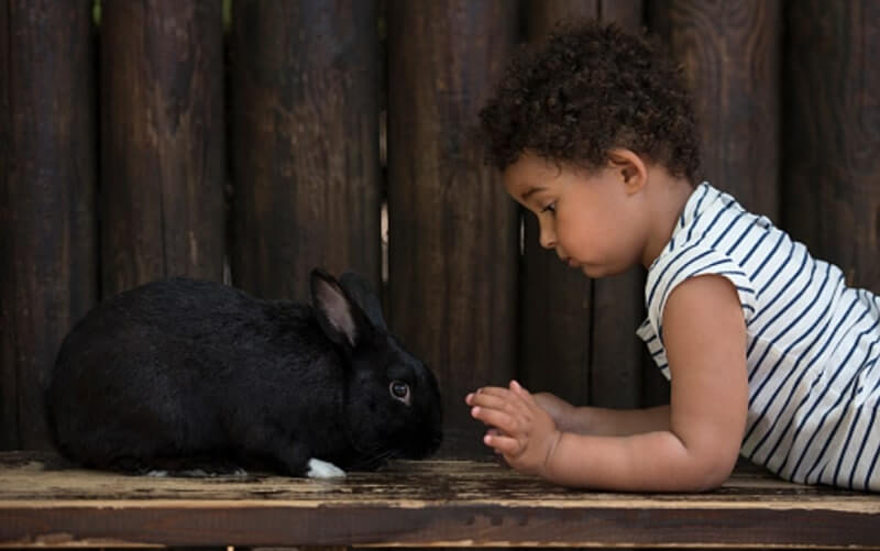 cool Black rabbit and kid