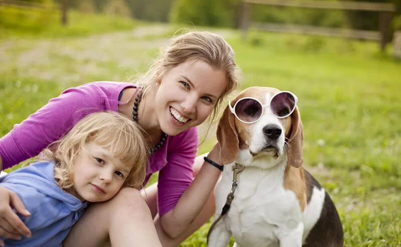cute Beagle with family