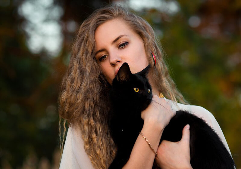 Bombay Cat and girl