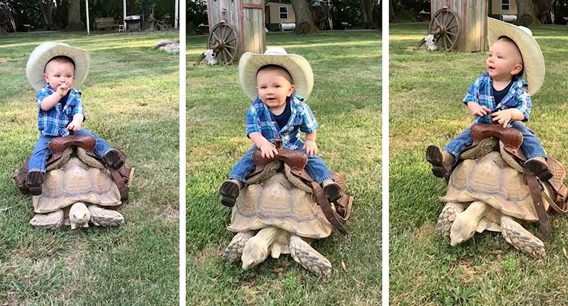kid with African Spurred Tortoise
