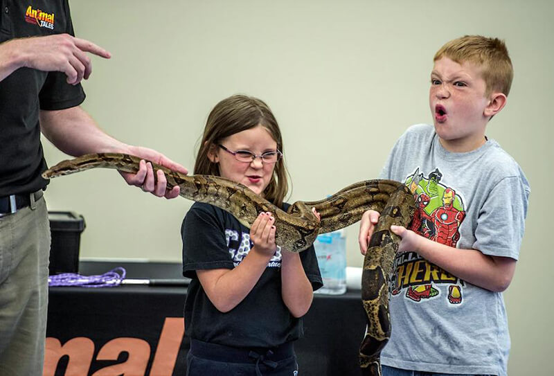 kids and Boa Constrictor