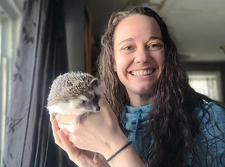 African Pygmy Hedgehog pet with owner