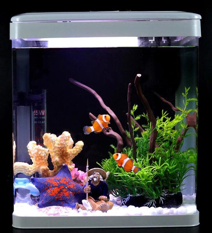 Clownfish in fishbowl