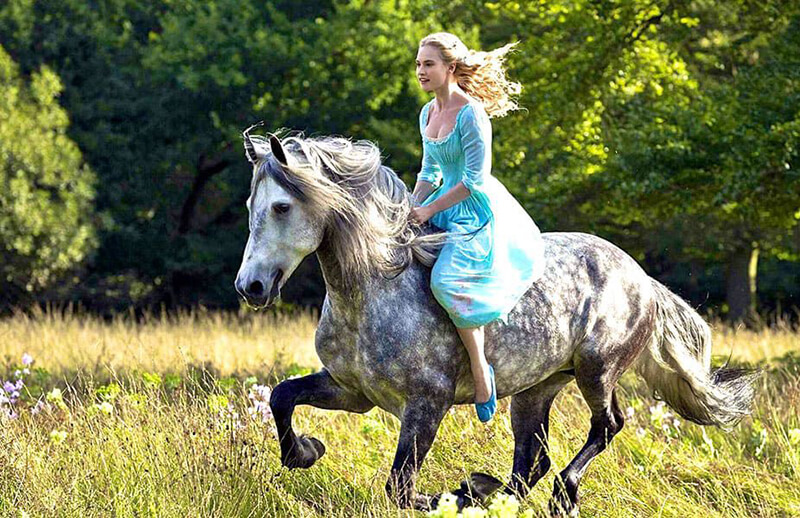 girl with Andalusian Horse running